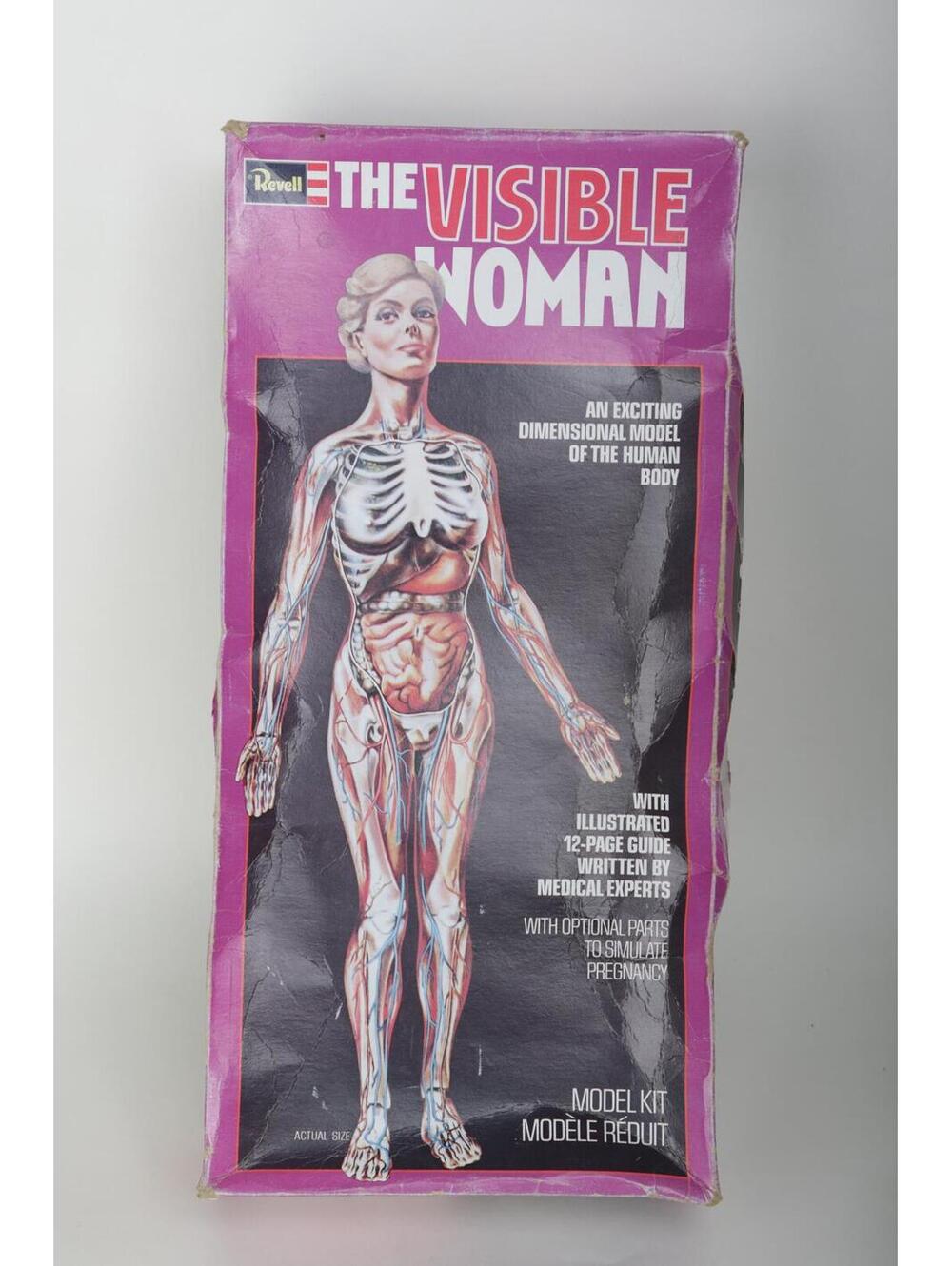 60's Renwal The Invisible Woman Anatomy Model Kit